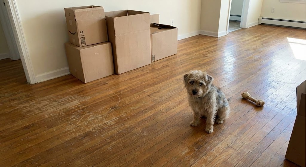 人気記事ランキング3位のサムネイル