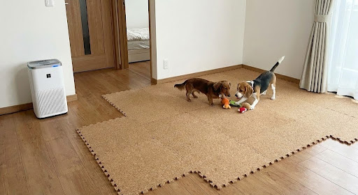 記事のイメージ画像