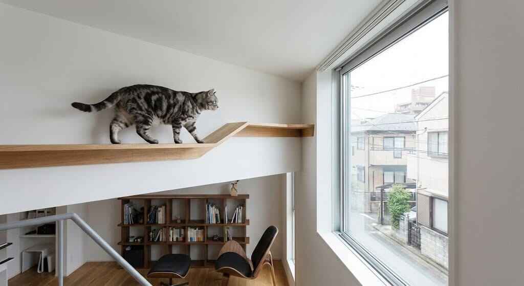 記事のイメージ画像