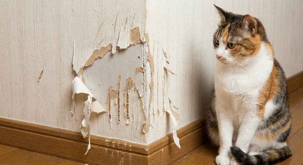 記事のイメージ画像