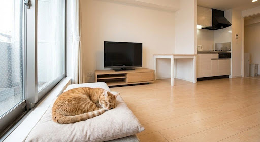 記事のイメージ画像