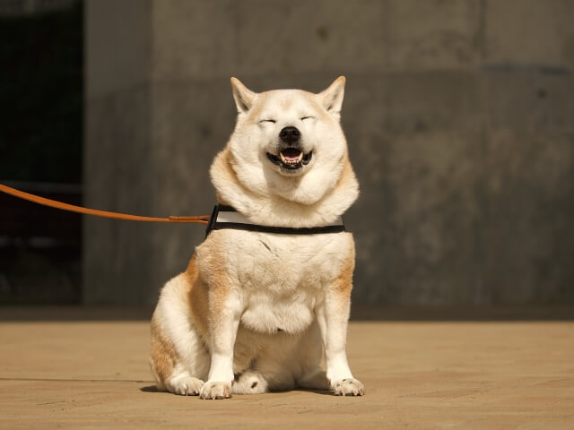 記事のイメージ画像