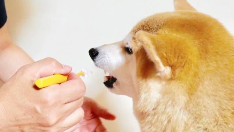記事のイメージ画像