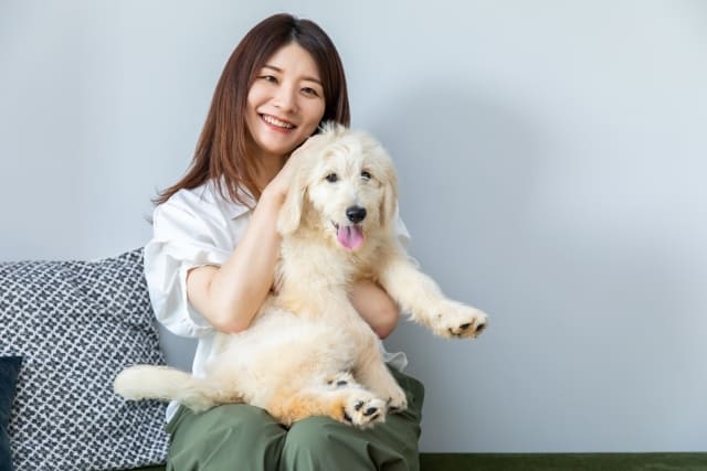 記事のイメージ画像