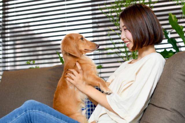記事のイメージ画像