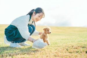 犬のうんちの色は健康のサイン｜理想の色を目指す毎日のチェック習慣と食事の工夫